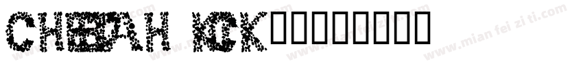 cheetah Kick字体字体转换